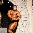 Vitaly  Fateev - IFBB Arnold Brasil  2016 - #1